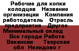 Рабочие для копки колодцев › Название организации ­ Компания-работодатель › Отрасль предприятия ­ Другое › Минимальный оклад ­ 1 - Все города Работа » Вакансии   . Тверская обл.,Нелидово г.